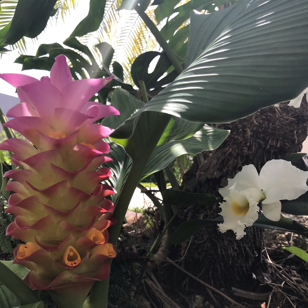 Meet your Posher, Sheryl